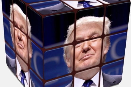 Sich ein Bild von Donald Trump zu machen - gar nicht so einfach!